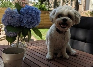 Testimonial from Lionel