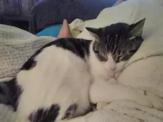 Testimonial from Josie